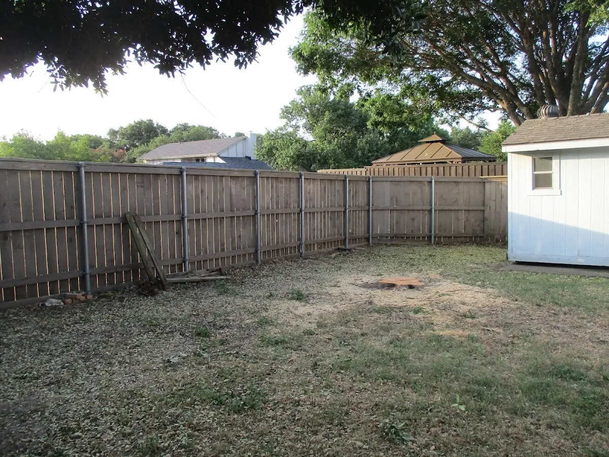 Cleared yard after professional tree removal in Miles